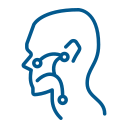Ear, Nose & Throat (ENT)