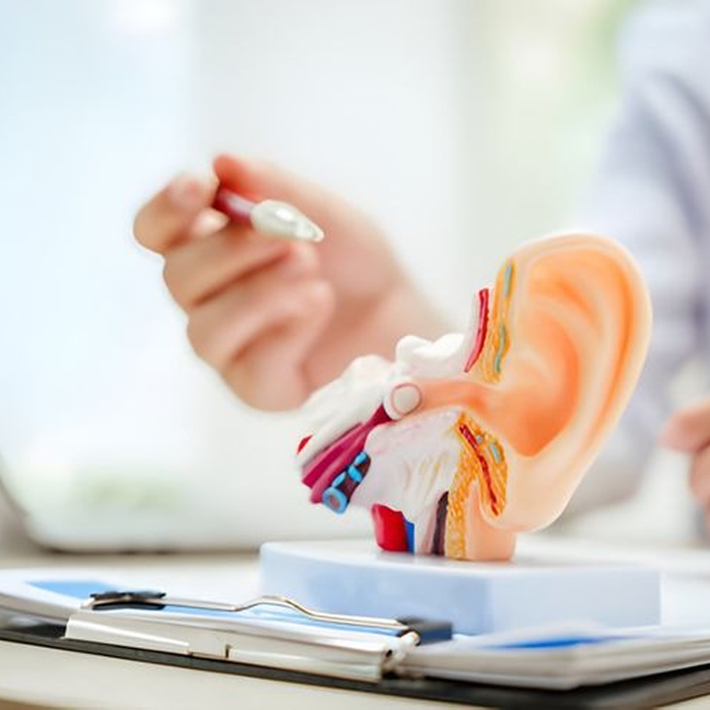 Hearing Aid Clinic
